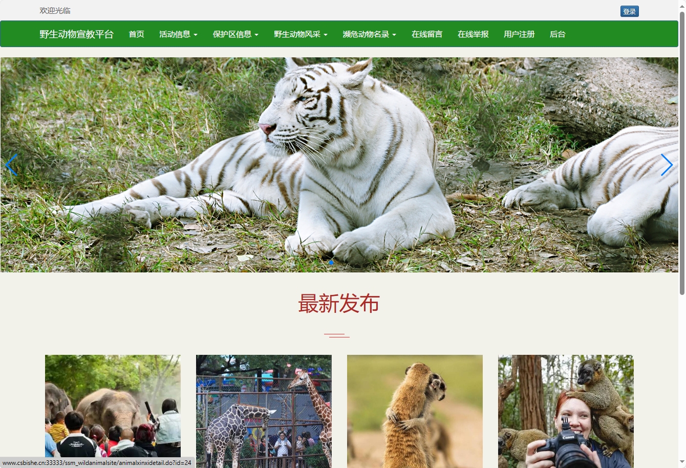 基于SSM框架的野生动物保护宣传平台系统界面截图