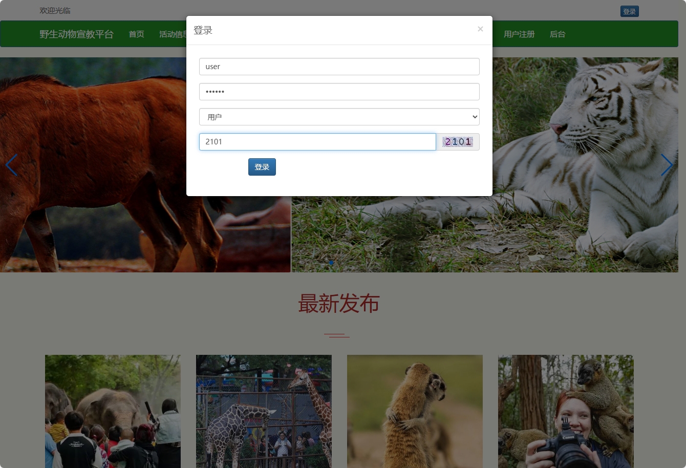 基于SSM框架的野生动物保护宣传平台 - 用户登录.png界面截图